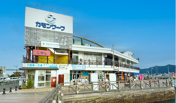 カモンワーフ：画像