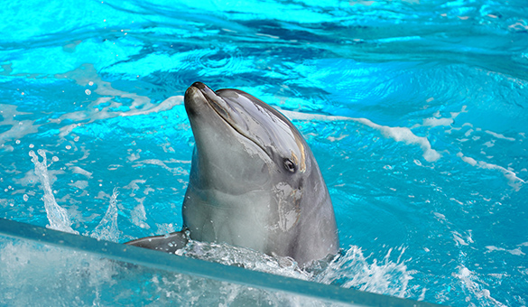 唐戸エリア：画像